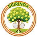 Scirinda